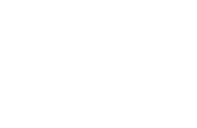 Carbon Steps